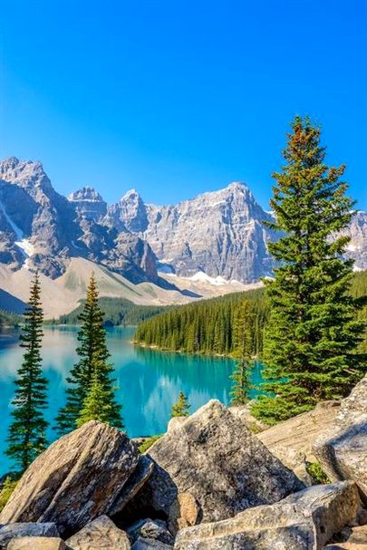 Beautiful Nature image