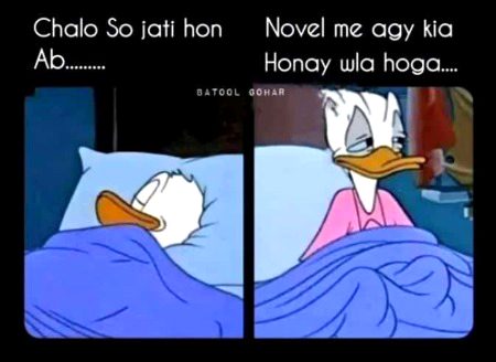 Memes & Satire image