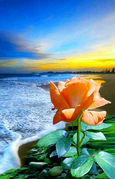 Beautiful Nature image
