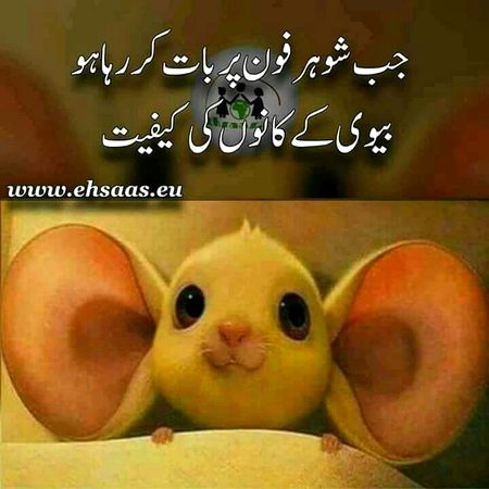 Memes & Satire image