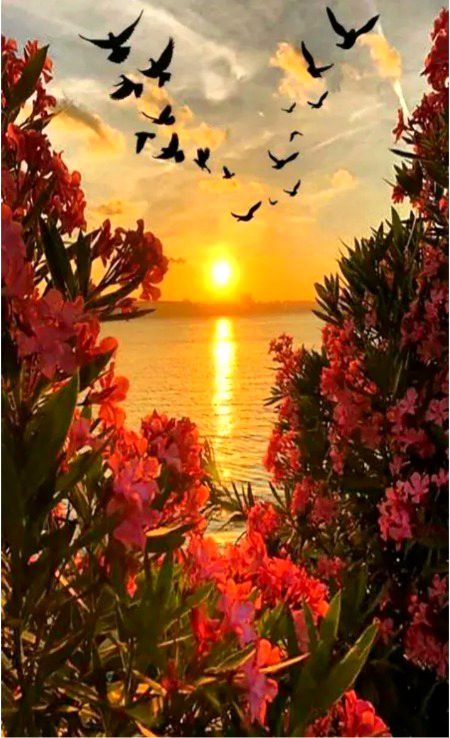 Beautiful Nature image