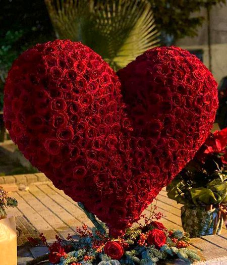 Beautiful Nature image