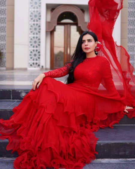 Pakistani Celebs image