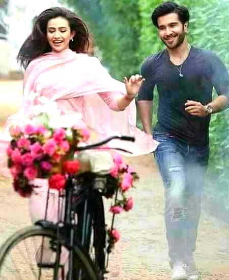 Pakistani Celebs image