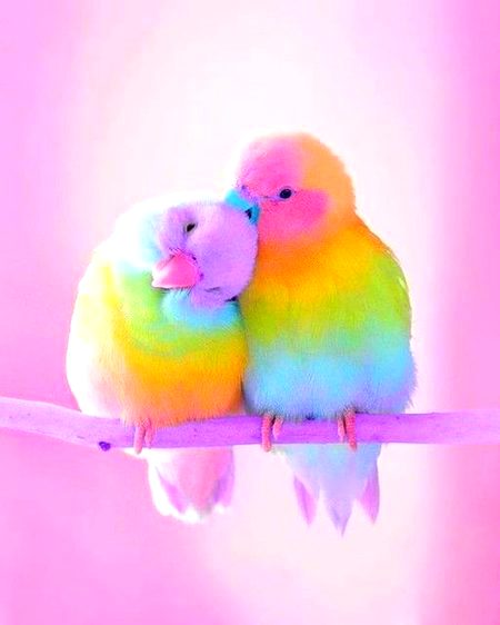 Beautiful Nature image