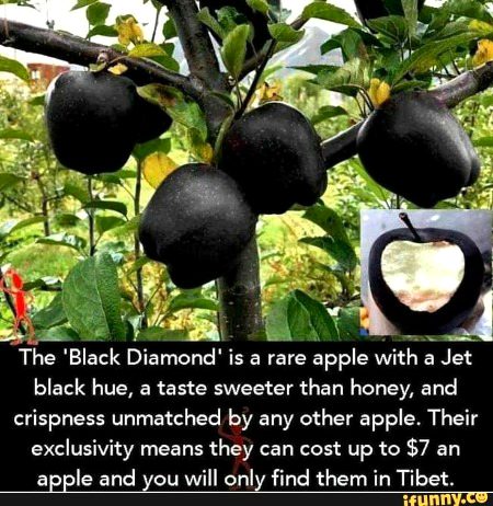 Interesting Posts image