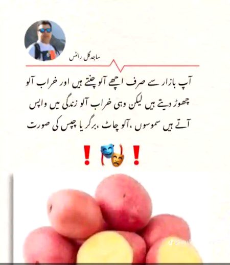 Memes & Satire image