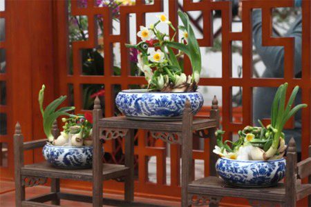 Beautiful Nature image