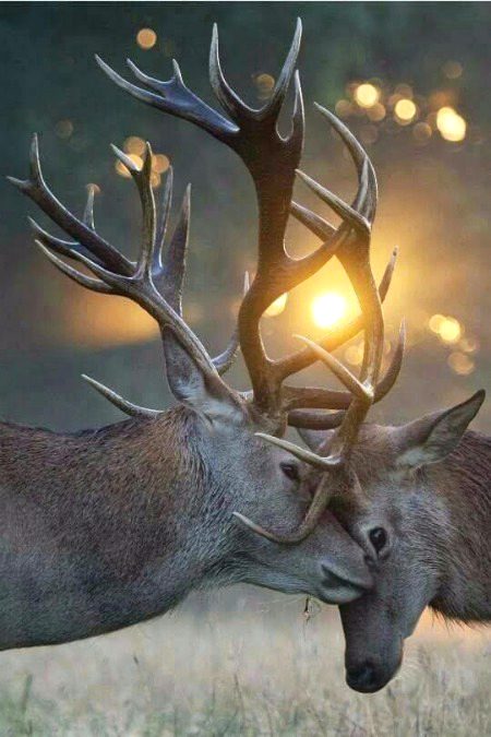 Beautiful Nature image