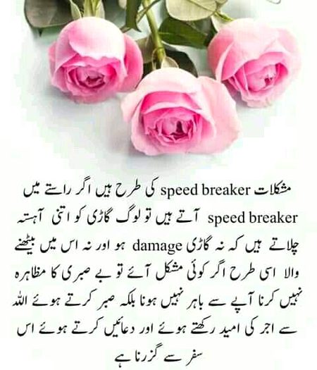 Motivational Quotes image