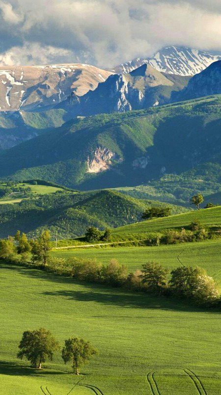 Beautiful Nature image