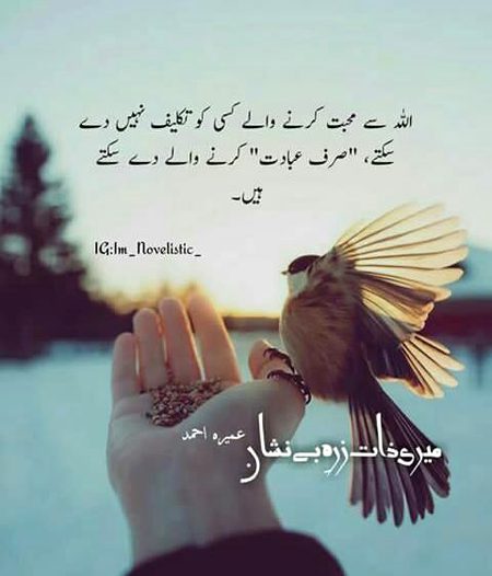 Islamic Quotes image