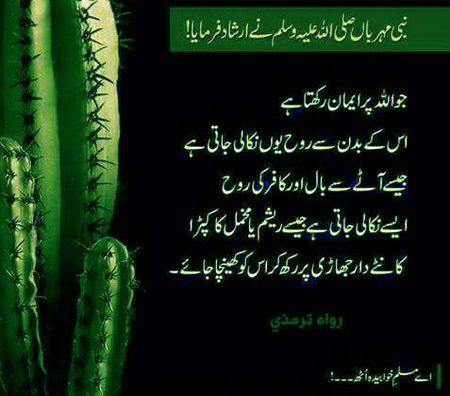Islamic Quotes image