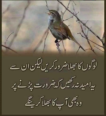 Social media post
