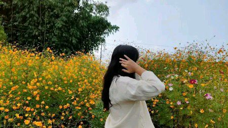 Beautiful Nature image