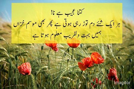 Social media post