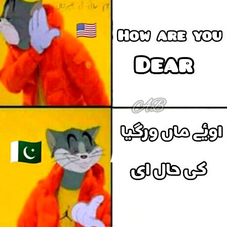 Memes & Satire image