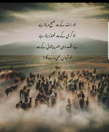 Islamic Quotes image