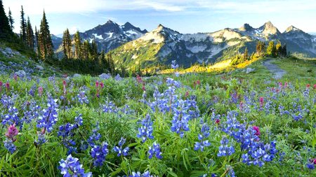 Beautiful Nature image