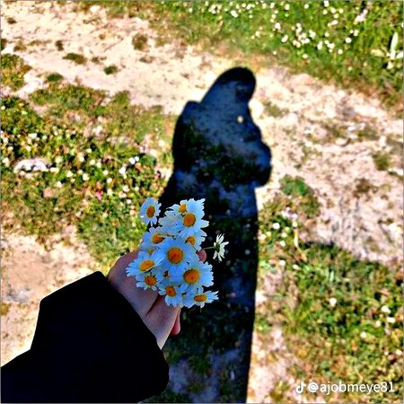 Social media post
