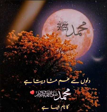 Islamic Quotes image