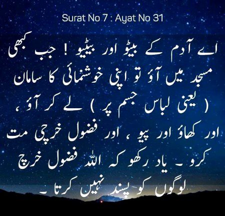 Islamic Quotes image