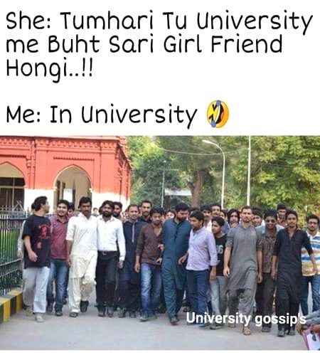 Memes & Satire image