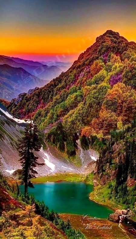 Beautiful Nature image