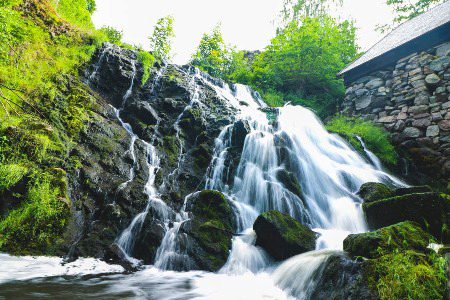 Beautiful Nature image