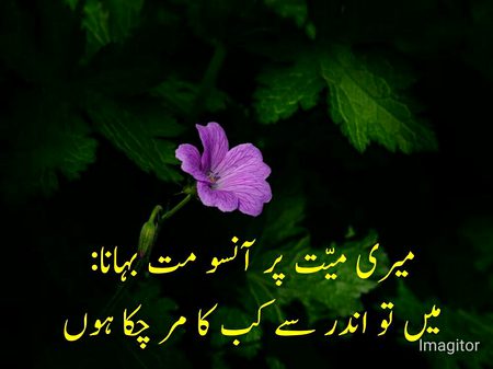Social media post