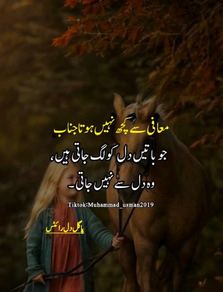 Attitude Quotes image