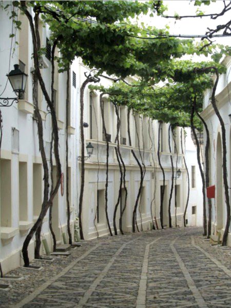 Beautiful Nature image