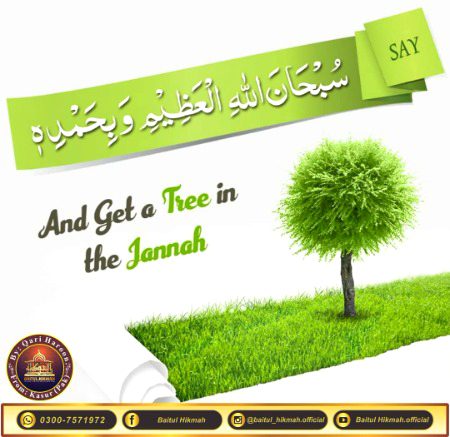 Islamic Quotes image