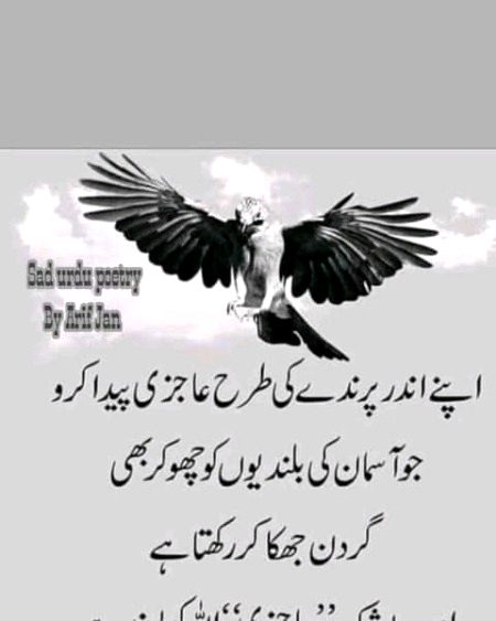 Motivational Quotes image