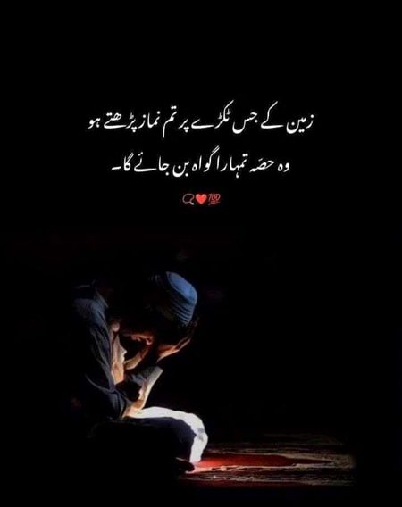 Islamic Quotes image