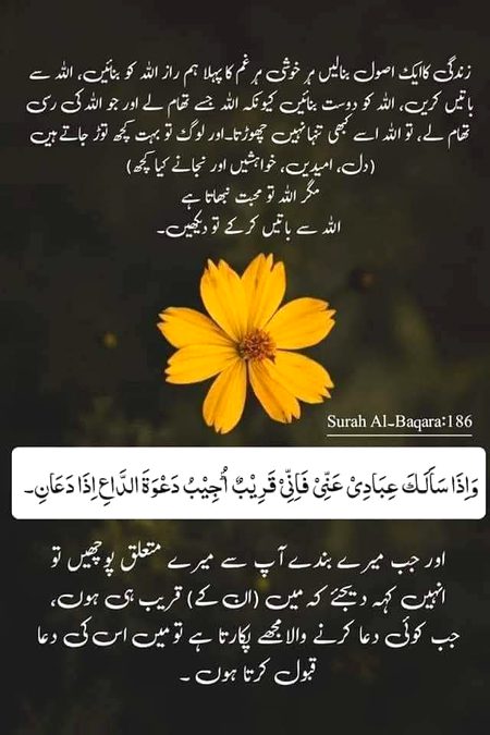 Islamic Quotes image