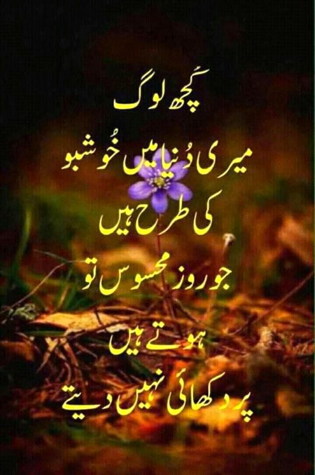 Sad Poetry image