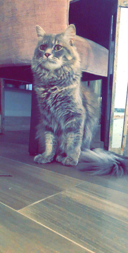 Beautiful Nature image