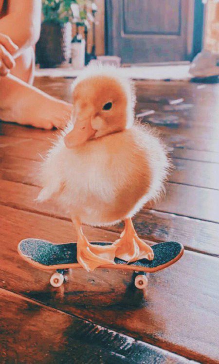 Beautiful Nature image