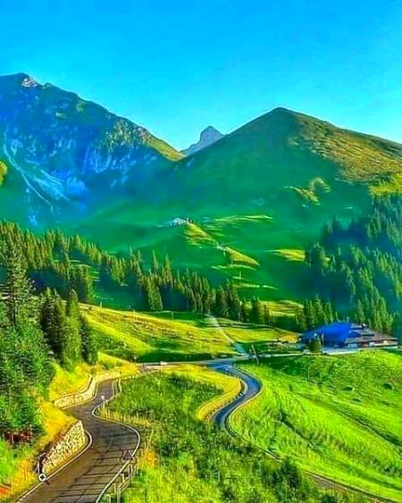 Beautiful Nature image