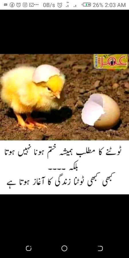 Social media post