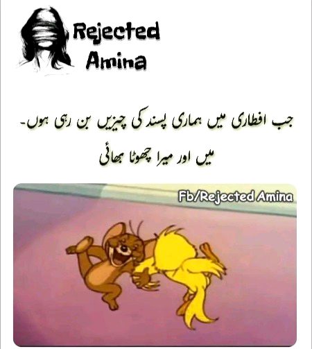 Memes & Satire image