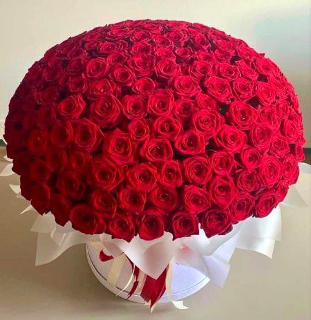 Beautiful Nature image