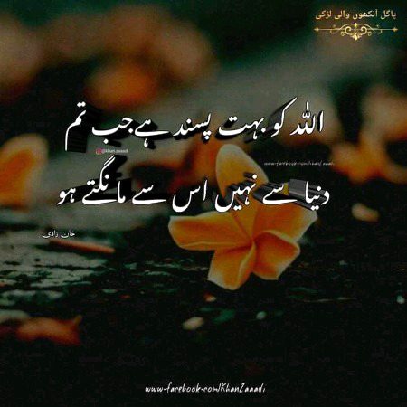 Islamic Quotes image