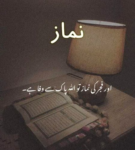 Islamic Quotes image