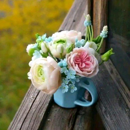 Beautiful Nature image