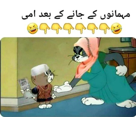 Memes & Satire image