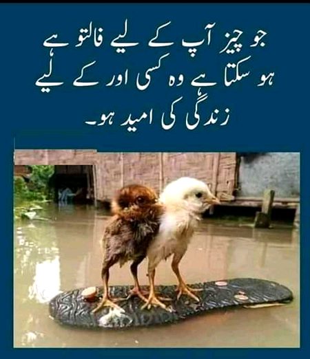 Social media post