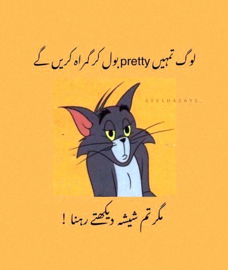 Memes & Satire image