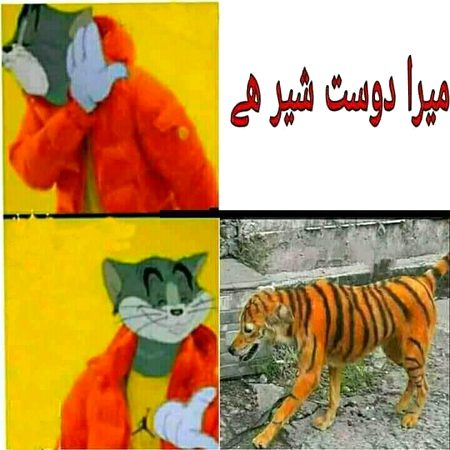 Memes & Satire image